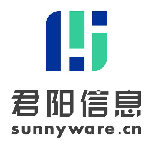 上海君阳信息科技 解锁数字化转型的信息咨询服务价值